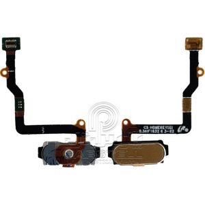 فلت فینگر یا حسگر اثرانگشت C5/C5000